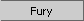 Fury