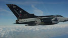 25 Squadron Tornado F3 90th Anniversary