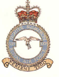 RAF 25 Squadron Association Badge